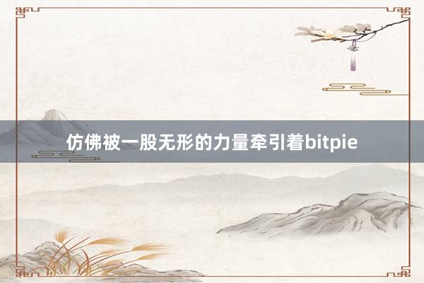 仿佛被一股无形的力量牵引着bitpie