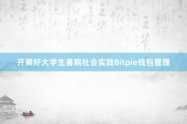 开展好大学生暑期社会实践Bitpie钱包管理