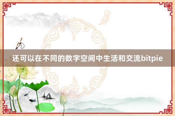 还可以在不同的数字空间中生活和交流bitpie