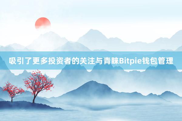 吸引了更多投资者的关注与青睐Bitpie钱包管理