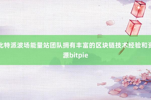 比特派波场能量站团队拥有丰富的区块链技术经验和资源bitpie