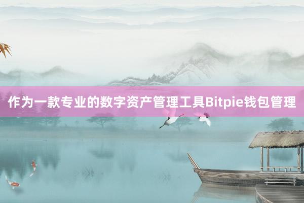 作为一款专业的数字资产管理工具Bitpie钱包管理