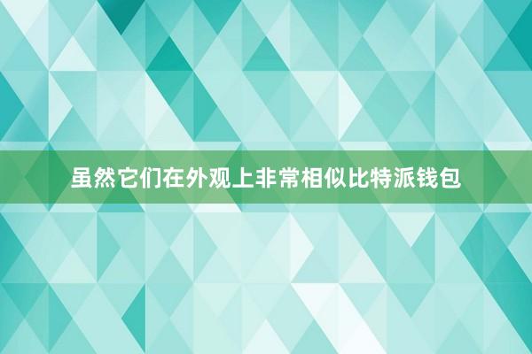 虽然它们在外观上非常相似比特派钱包