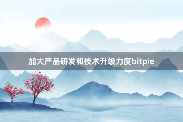 加大产品研发和技术升级力度bitpie