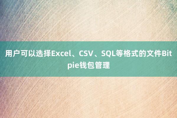 用户可以选择Excel、CSV、SQL等格式的文件Bitpie钱包管理