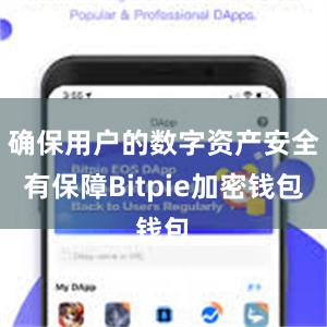 确保用户的数字资产安全有保障Bitpie加密钱包