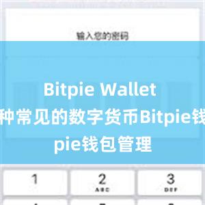 Bitpie Wallet 支持多种常见的数字货币Bitpie钱包管理