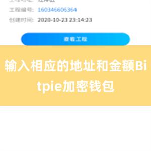 输入相应的地址和金额Bitpie加密钱包