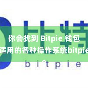 你会找到 Bitpie 钱包适用的各种操作系统bitpie